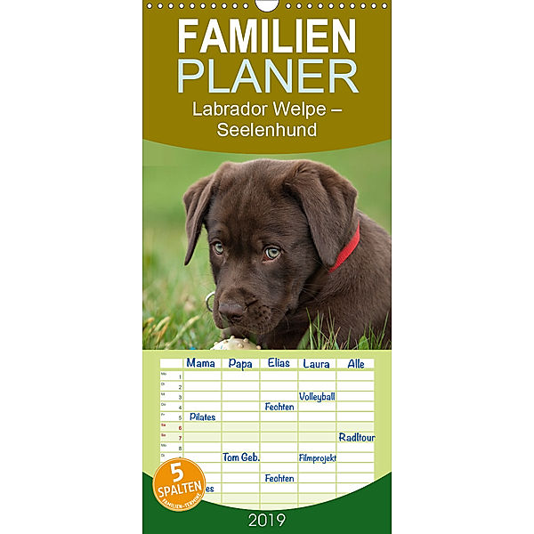 Labrador Welpe - Seelenhund - Familienplaner hoch (Wandkalender 2019 , 21 cm x 45 cm, hoch), Petra Schiller