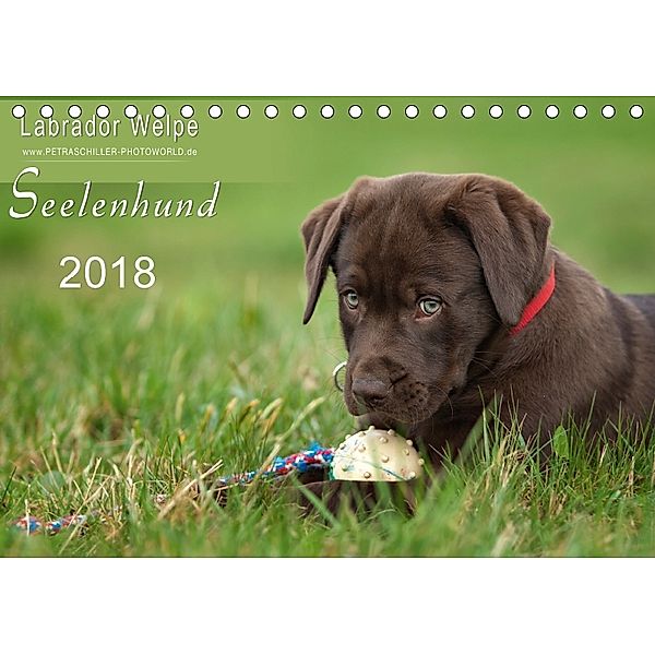 Labrador Welpe - Seelenhund (Tischkalender 2018 DIN A5 quer), Petra Schiller