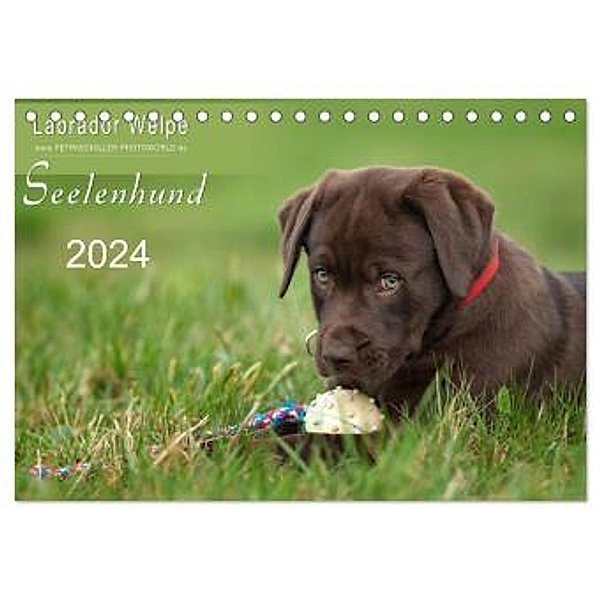 Labrador Welpe - Seelenhund (Tischkalender 2024 DIN A5 quer), CALVENDO Monatskalender, Petra Schiller