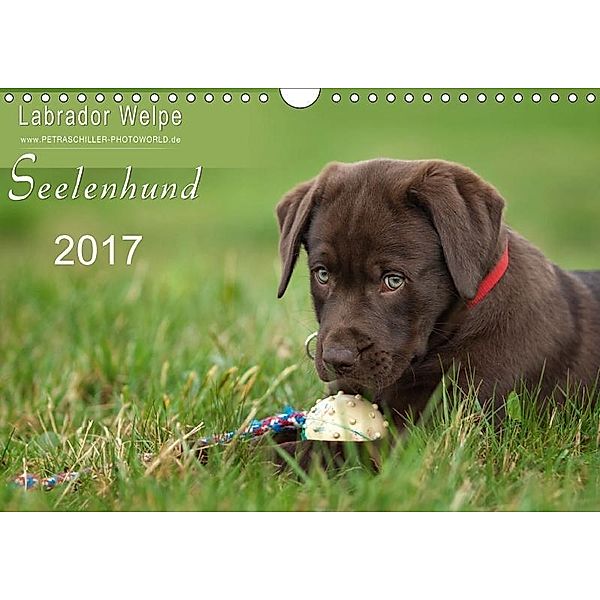Labrador Welpe - Seelenhund (Wandkalender 2017 DIN A4 quer), Petra Schiller