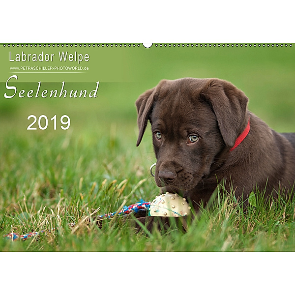 Labrador Welpe - Seelenhund (Wandkalender 2019 DIN A2 quer), Petra Schiller