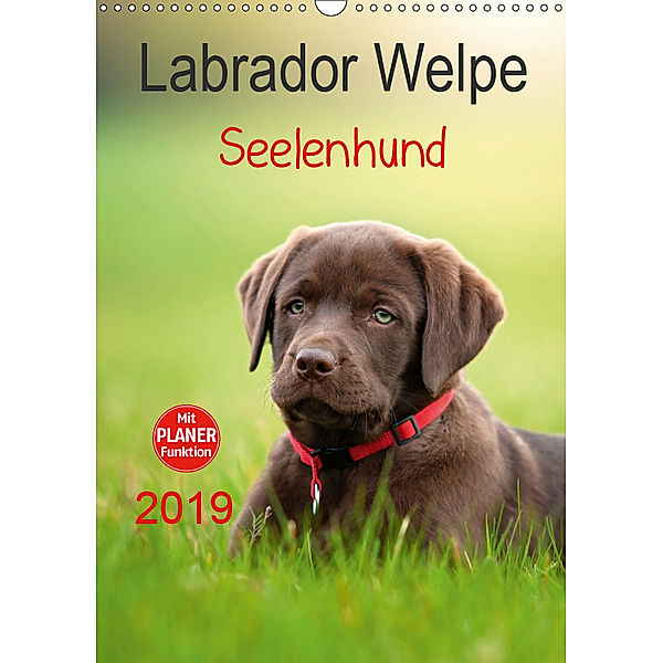 Labrador Welpe - Seelenhund (Wandkalender 2019 DIN A3 hoch), Petra Schiller