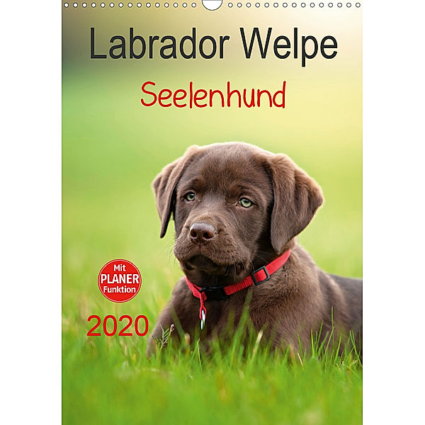 Labrador Welpe - Seelenhund (Wandkalender 2020 DIN A3 hoch), Petra Schiller