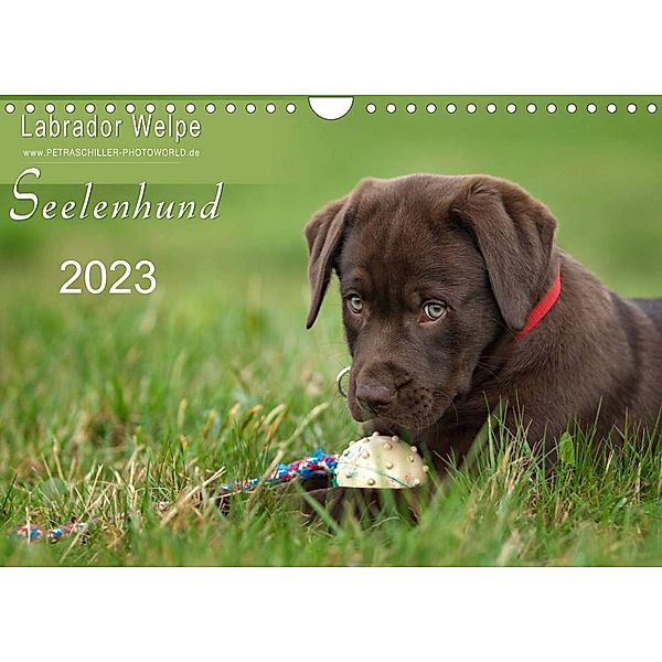 Labrador Welpe - Seelenhund (Wandkalender 2023 DIN A4 quer), Petra Schiller