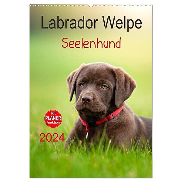 Labrador Welpe - Seelenhund (Wandkalender 2024 DIN A2 hoch), CALVENDO Monatskalender, Petra Schiller