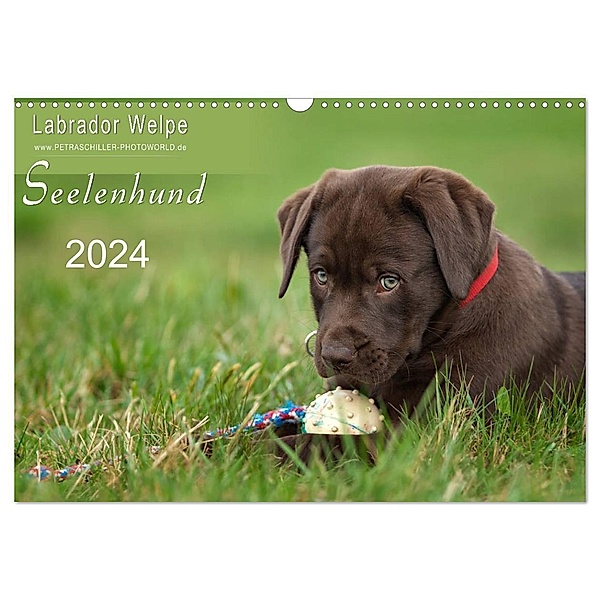 Labrador Welpe - Seelenhund (Wandkalender 2024 DIN A3 quer), CALVENDO Monatskalender, Petra Schiller