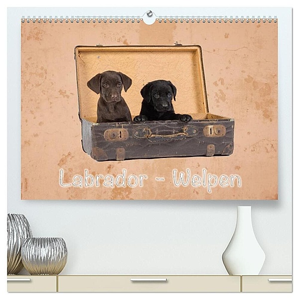 Labrador - Welpen (hochwertiger Premium Wandkalender 2024 DIN A2 quer), Kunstdruck in Hochglanz, Heiko Eschrich -HeschFoto