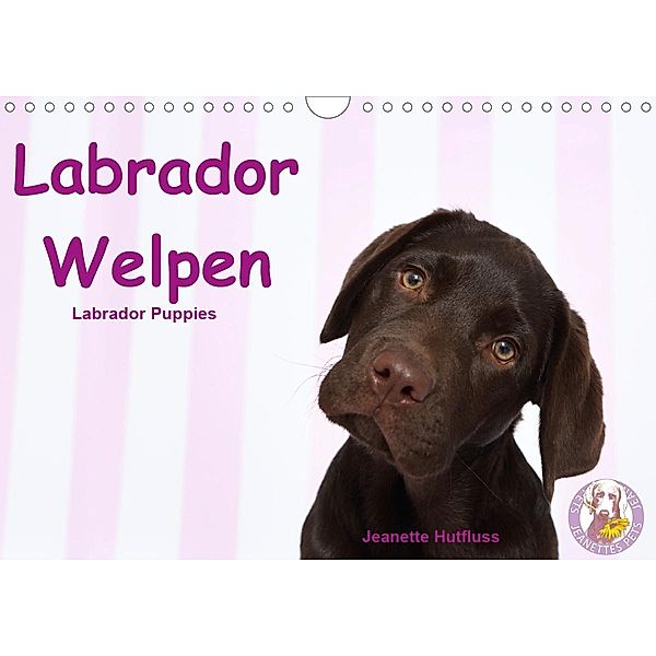 Labrador Welpen - Labrador Puppies (Wandkalender 2020 DIN A4 quer), Jeanette Hutfluss