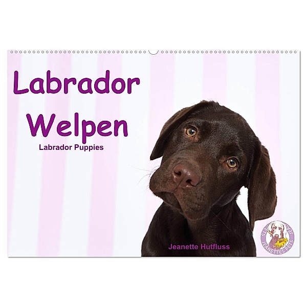 Labrador Welpen - Labrador Puppies (Wandkalender 2024 DIN A2 quer), CALVENDO Monatskalender, Jeanette Hutfluss