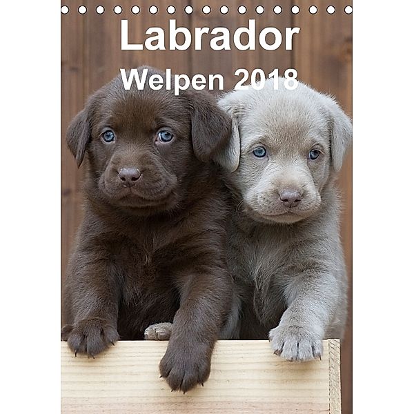 Labrador Welpen (Tischkalender 2018 DIN A5 hoch), Heidi Bollich