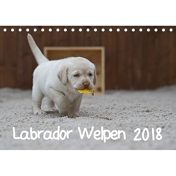 Labrador Welpen (Tischkalender 2018 DIN A5 quer) Dieser erfolgreiche Kalender wurde dieses Jahr mit gleichen Bildern und, Heidi Bollich