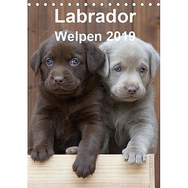 Labrador Welpen (Tischkalender 2019 DIN A5 hoch), Heidi Bollich