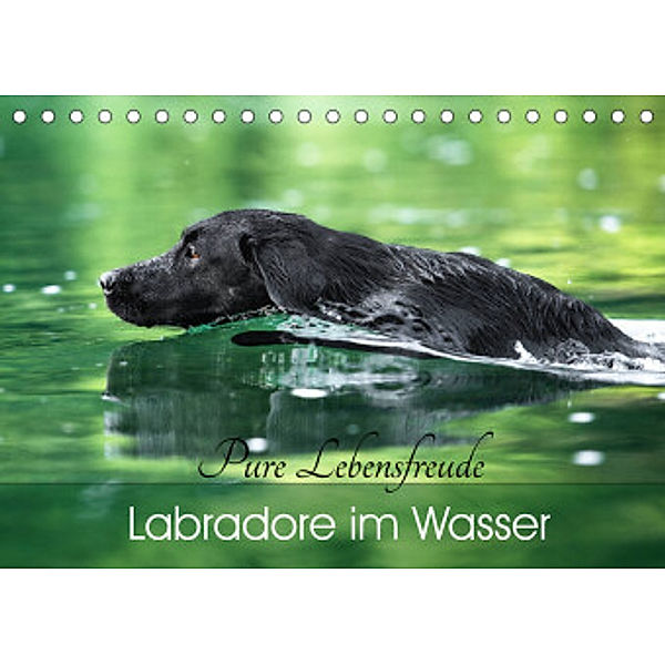 Labradore im Wasser (Tischkalender 2022 DIN A5 quer), Cornelia Strunz