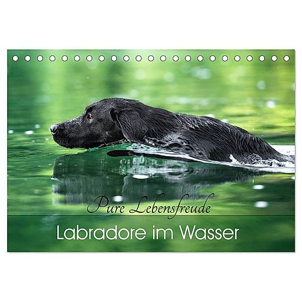 Labradore im Wasser (Tischkalender 2025 DIN A5 quer), CALVENDO Monatskalender, Calvendo, Cornelia Strunz