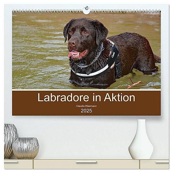 Labradore in Aktion (hochwertiger Premium Wandkalender 2025 DIN A2 quer), Kunstdruck in Hochglanz, Calvendo, Claudia Kleemann