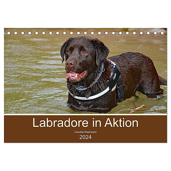 Labradore in Aktion (Tischkalender 2024 DIN A5 quer), CALVENDO Monatskalender, Claudia Kleemann