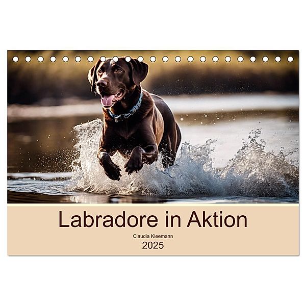 Labradore in Aktion (Tischkalender 2025 DIN A5 quer), CALVENDO Monatskalender, Calvendo, Claudia Kleemann