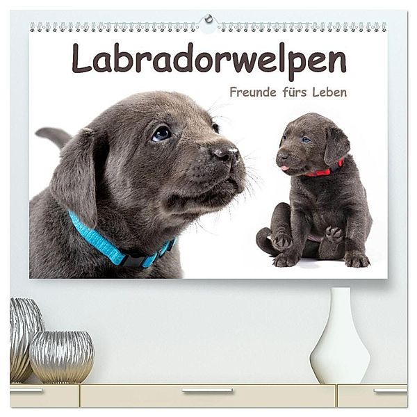 Labradorwelpen - Freunde fürs Leben (hochwertiger Premium Wandkalender 2024 DIN A2 quer), Kunstdruck in Hochglanz, photodesign KRÄTSCHMER