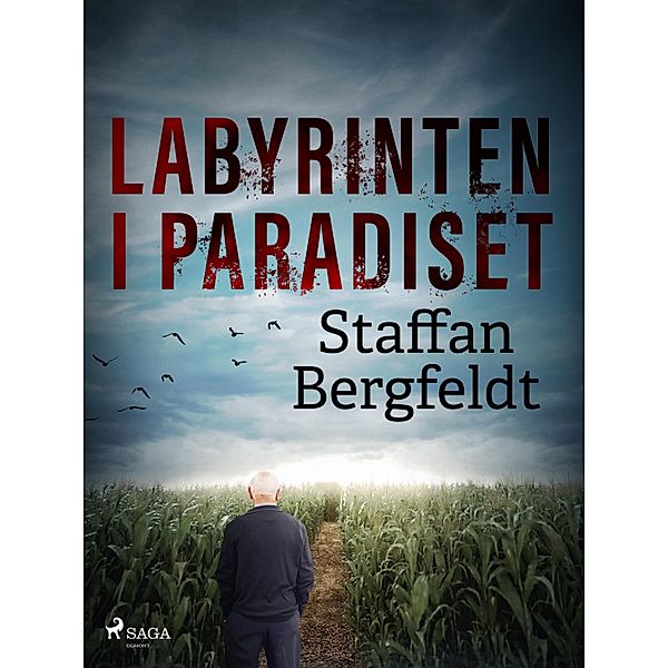 Labyrinten i paradiset / Blodigt Alvar Bd.4, Staffan Bergfeldt