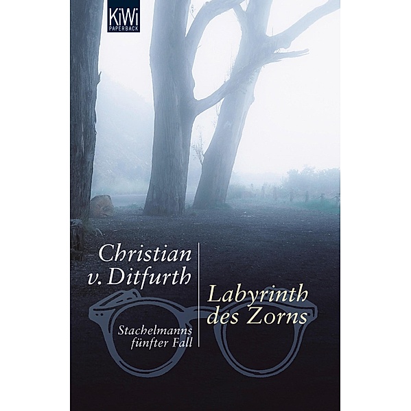 Labyrinth des Zorns / Stachelmann Bd.5, Christian von Ditfurth