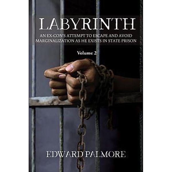 LABYRINTH : Volume 2 / TOPLINK PUBLISHING, LLC, Edward Palmore