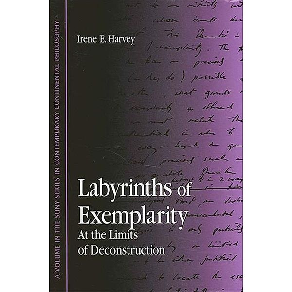 Labyrinths of Exemplarity / SUNY series in Contemporary Continental Philosophy, Irene E. Harvey