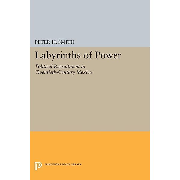 Labyrinths of Power / Princeton Legacy Library Bd.1596, Peter H. Smith