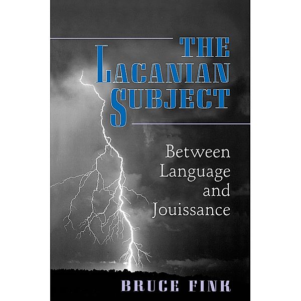 Lacanian Subject, Bruce Fink