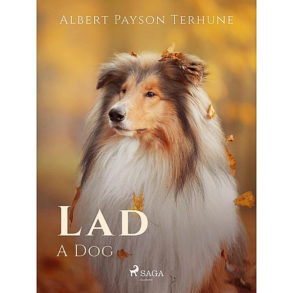 Lad: A Dog / World Classics, Albert Payson Terhune