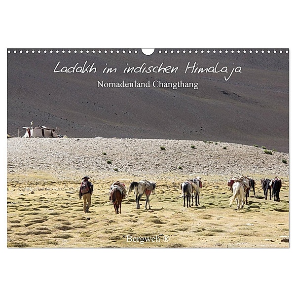 Ladakh im indischen Himalaja - Nomadenland Changthang - Bergweh ® (Wandkalender 2024 DIN A3 quer), CALVENDO Monatskalender, Barbara Esser