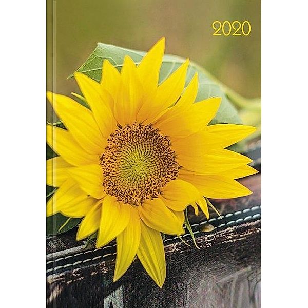 Lady-Timer Sonnenblume 2020