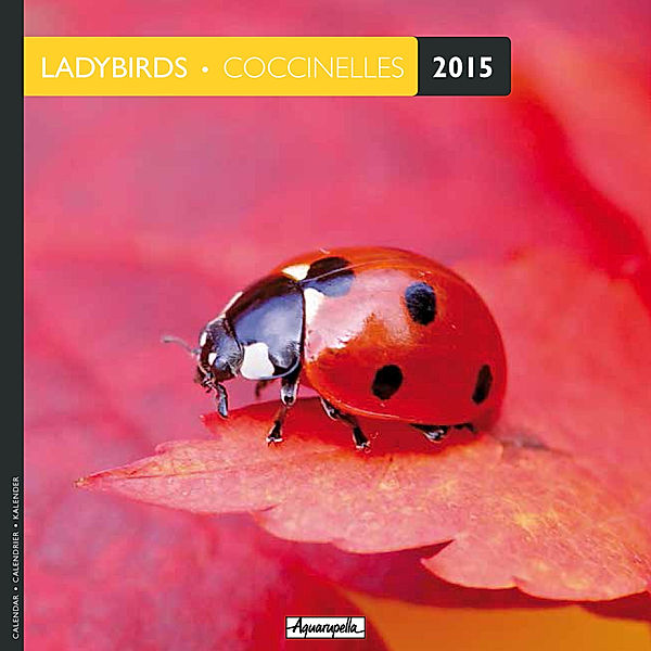 Ladybirds 2015. Coccinelles