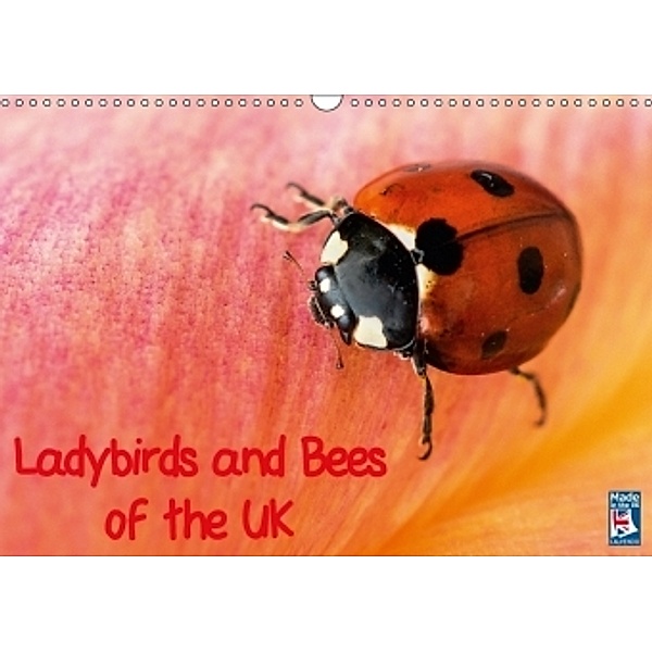 Ladybirds and Bees of the UK (Wall Calendar 2017 DIN A3 Landscape), Paul Iddon
