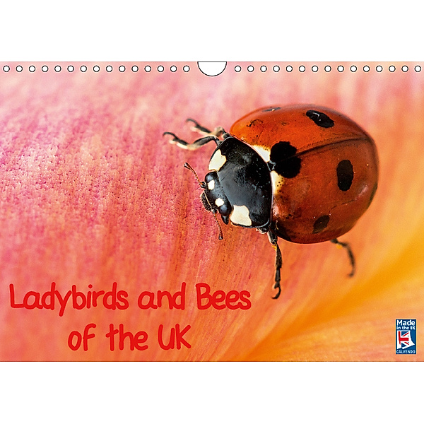 Ladybirds and Bees of the UK (Wall Calendar 2019 DIN A4 Landscape), Paul Iddon