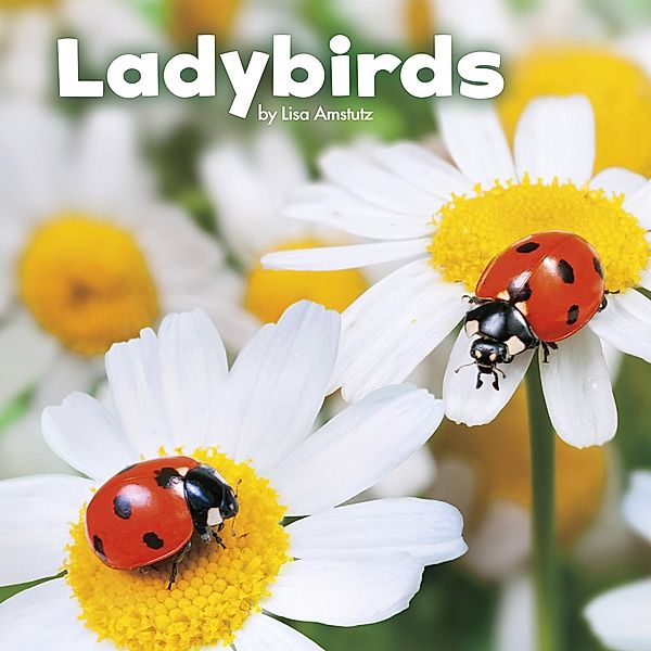Ladybirds / Raintree Publishers, Lisa J. Amstutz