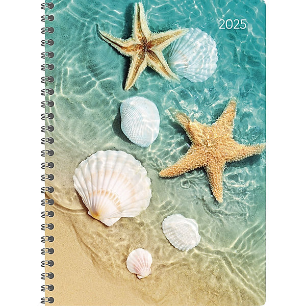 Ladytimer Ringbuch Beach 2025 - Taschen-Kalender A5 (15x21 cm) - Schüler-Kalender - Weekly - Ringbindung - 128 Seiten - Alpha Edition