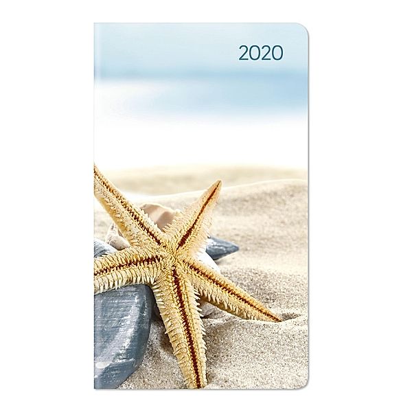 Ladytimer Slim Sea Star 2020 - Taschenplaner, ALPHA EDITION