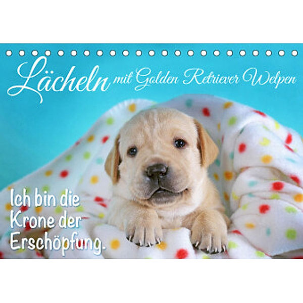 Lächeln mit Golden Retriever Welpen (Tischkalender 2022 DIN A5 quer), Calvendo