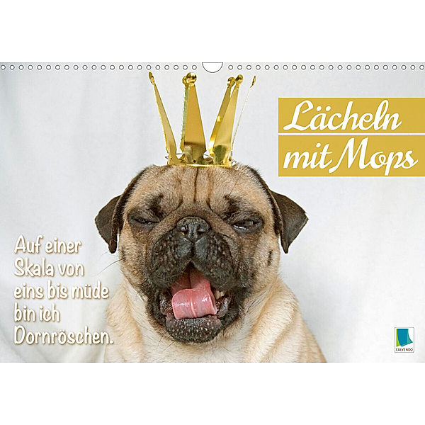 Lächeln mit Mops (Wandkalender 2023 DIN A3 quer), Calvendo