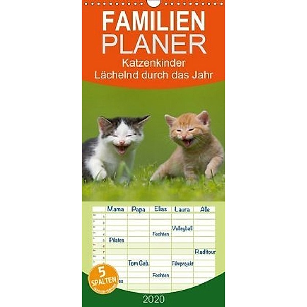 Lächelnd durchs Jahr - Katzenkinder -Familienplaner hoch (Wandkalender 2020 , 21 cm x 45 cm, hoch), Susanne Danegger