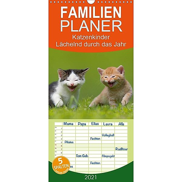 Lächelnd durchs Jahr - Katzenkinder -Familienplaner hoch (Wandkalender 2021 , 21 cm x 45 cm, hoch), Susanne Danegger