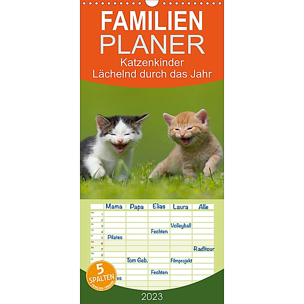 Lächelnd durchs Jahr - Katzenkinder -Familienplaner hoch (Wandkalender 2023 , 21 cm x 45 cm, hoch), Susanne Danegger