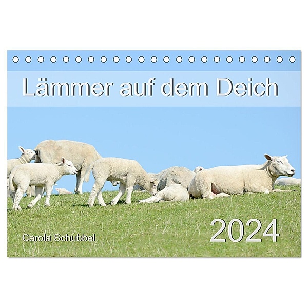 Lämmer auf dem Deich (Tischkalender 2024 DIN A5 quer), CALVENDO Monatskalender, Carola Schubbel