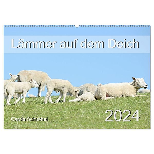 Lämmer auf dem Deich (Wandkalender 2024 DIN A2 quer), CALVENDO Monatskalender, Carola Schubbel