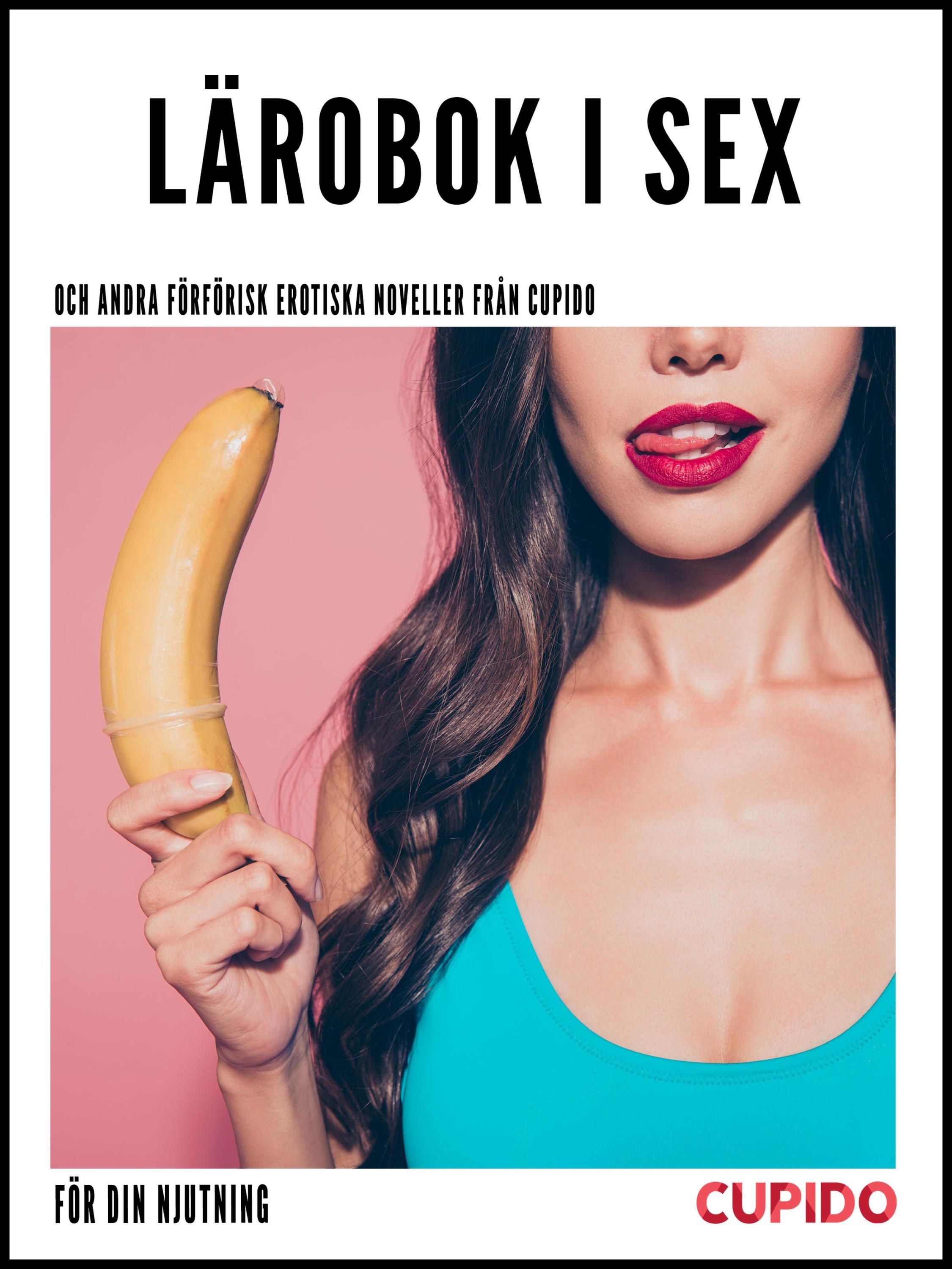 Lärobok i sex - och andra förförisk erotiska noveller från Cupido Cupido Foto bild
