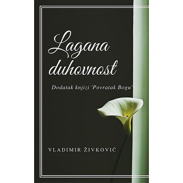 Lagana duhovnost: dodatak knjizi Povratak Bogu (Savremena duhovnost, #2) / Savremena duhovnost, Vladimir Zivkovic