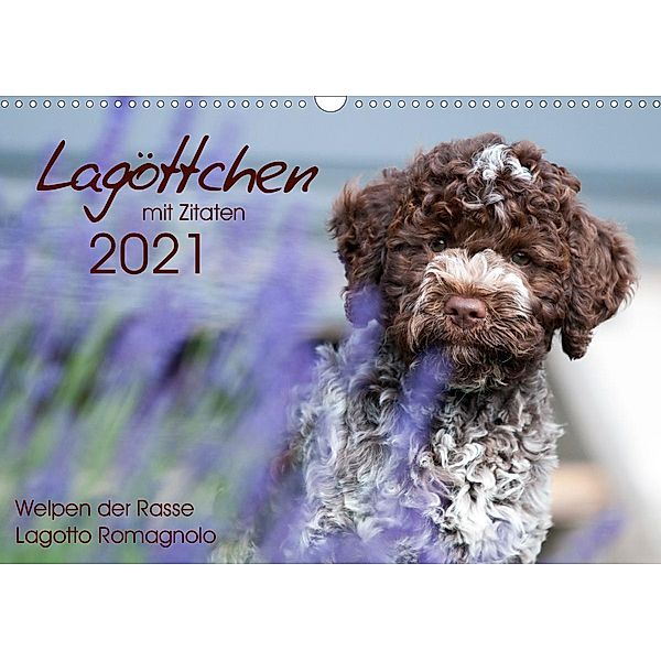 Lagöttchen (Wandkalender 2021 DIN A3 quer), Ulrich Backes