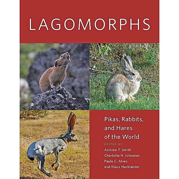 Lagomorphs