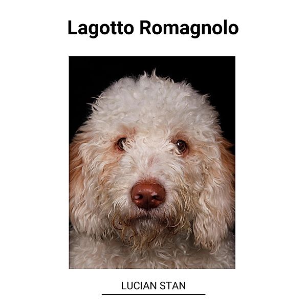 Lagotto Romagnolo, Lucian Stan
