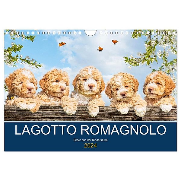 Lagotto Romagnolo - Bilder aus der Kinderstube (Wandkalender 2024 DIN A4 quer), CALVENDO Monatskalender, Sigrid Starick
